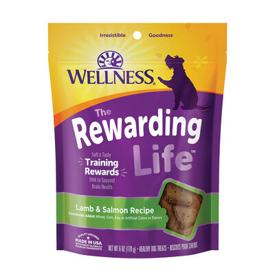 Wellness, Wellbites, Lamb & Salmon Soft Dog Treats - 6 oz - Dog Treat
