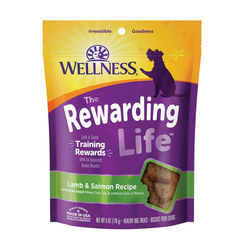 Wellness, Wellbites, Lamb & Salmon Soft Dog Treats - 6 oz - Dog Treat image number null