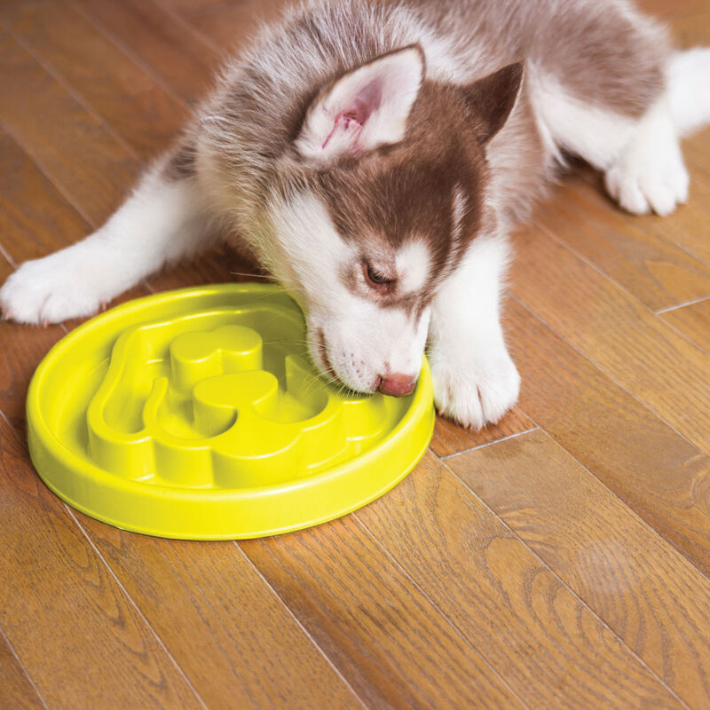 BeOneBreed, Dog, Slow Feeder - Yellow - Dog Auto Feeder image number null