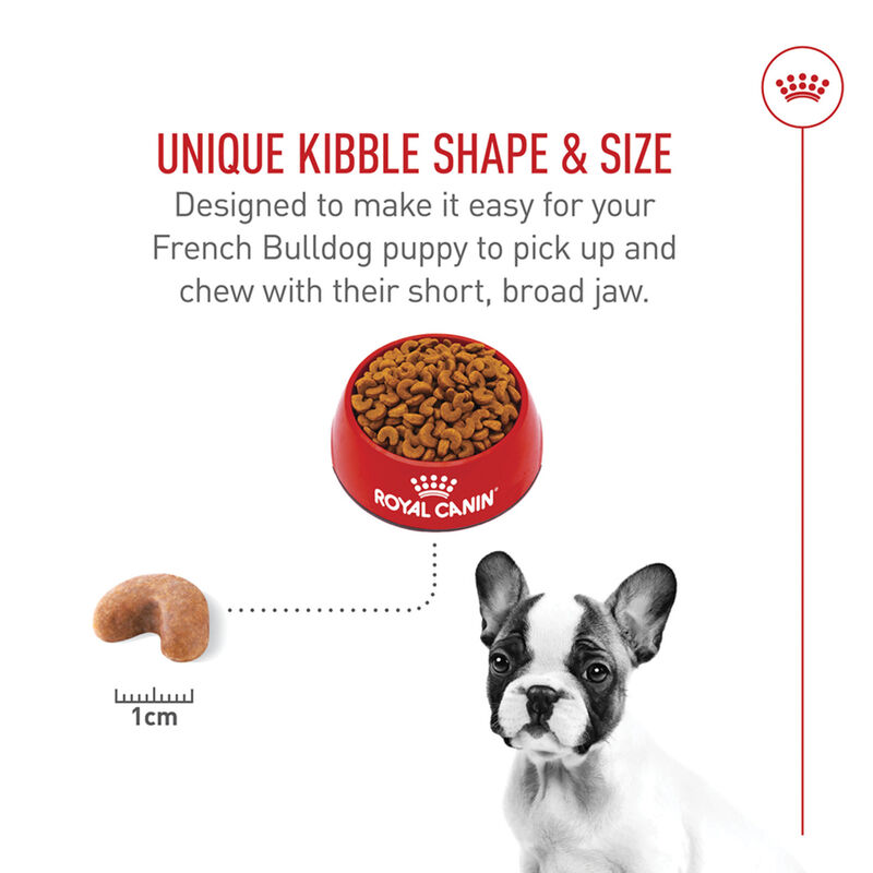 Royal Canin, Breed Health Nutrition French Bulldog Puppy 3LBS - Dry Dog Food image number null