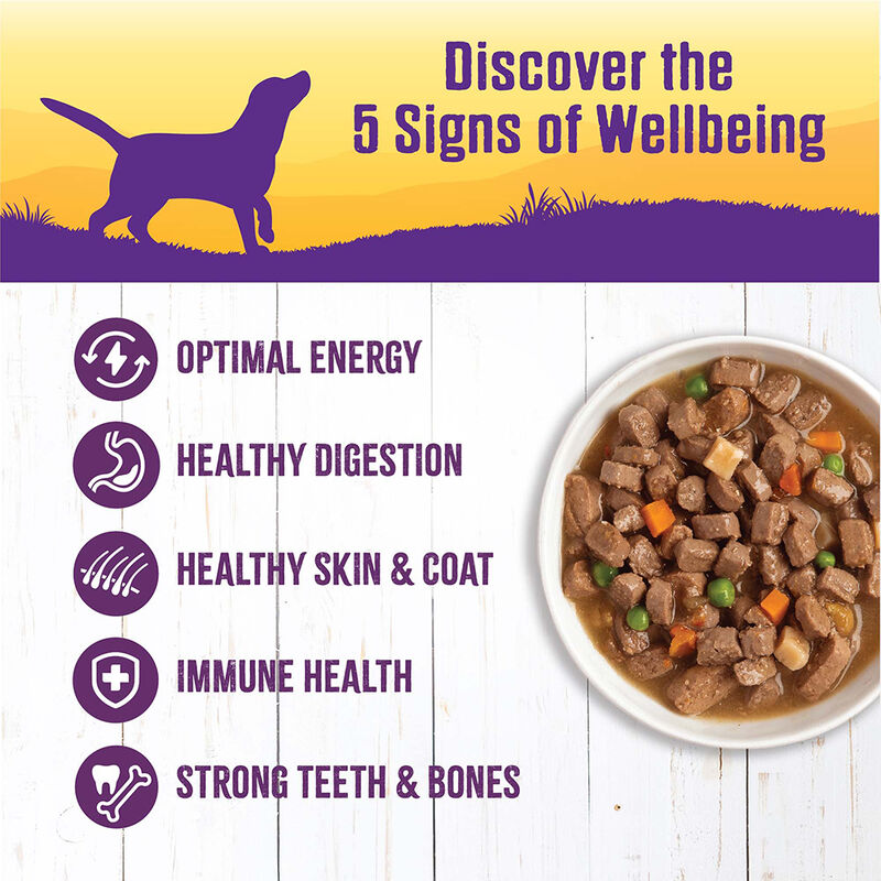 Wellness, Canned Dog Food, Chunks & Gravy, Chicken Stew with Carrots & Potatoes - 12.5 oz - Wet Dog image number null