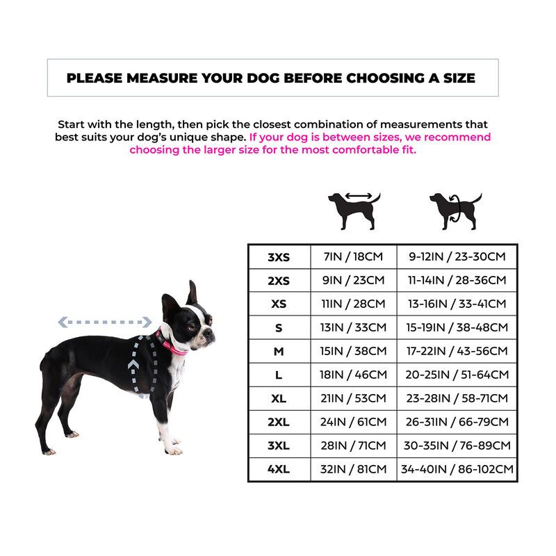 GF Pet, Gondola Onesie - Charcoal image number null