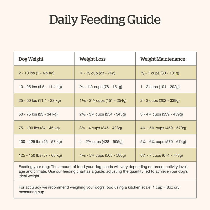 Good Gravy - Beef Coated in Bone Broth - Dry Dog Food image number null