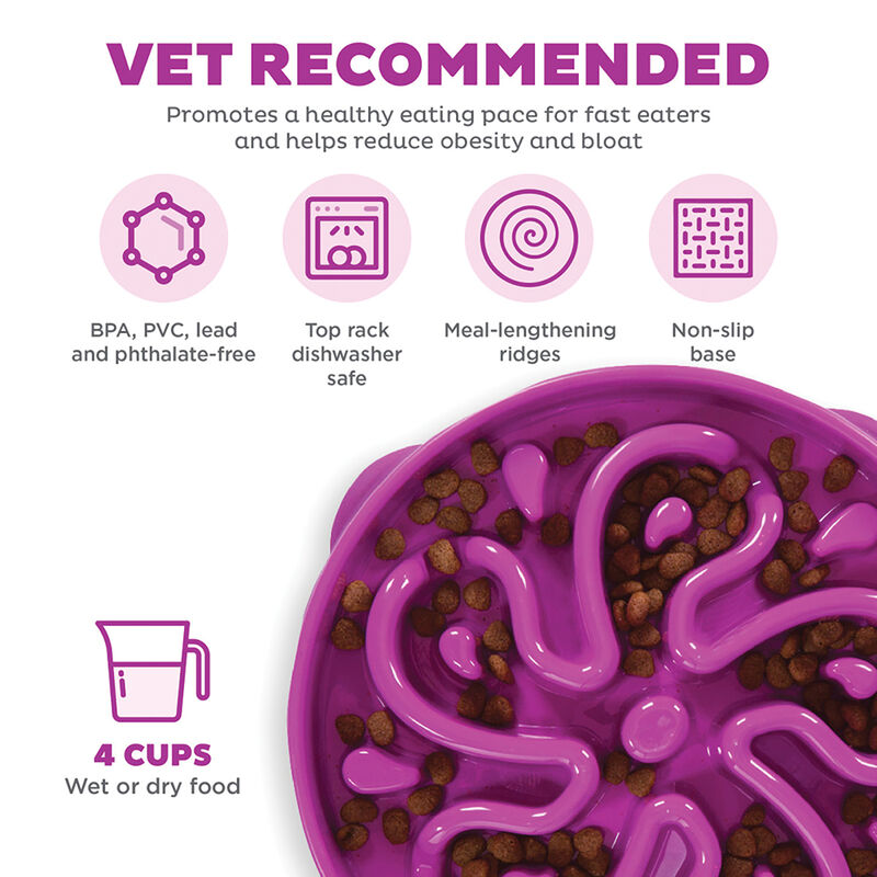 Outward Hound, Fun Feeder Flower - Purple image number null