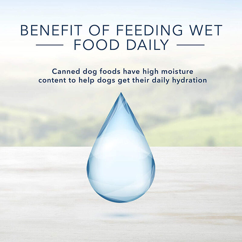 Blue Buffalo, Homestyle Recipe Lamb Dinner - 354 g - Wet Dog Food image number null