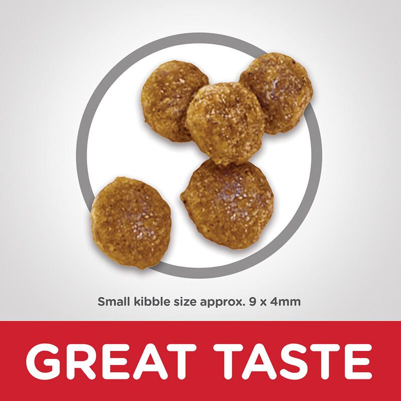 Science Diet, Adult Small Bites Chicken & Barley Recipe Dry Dog Food - Dry Dog Food image number null