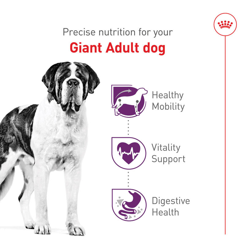 Royal Canin, Size Health Nutrition Giant Adult Dog 30LBS - Dry Dog Food image number null