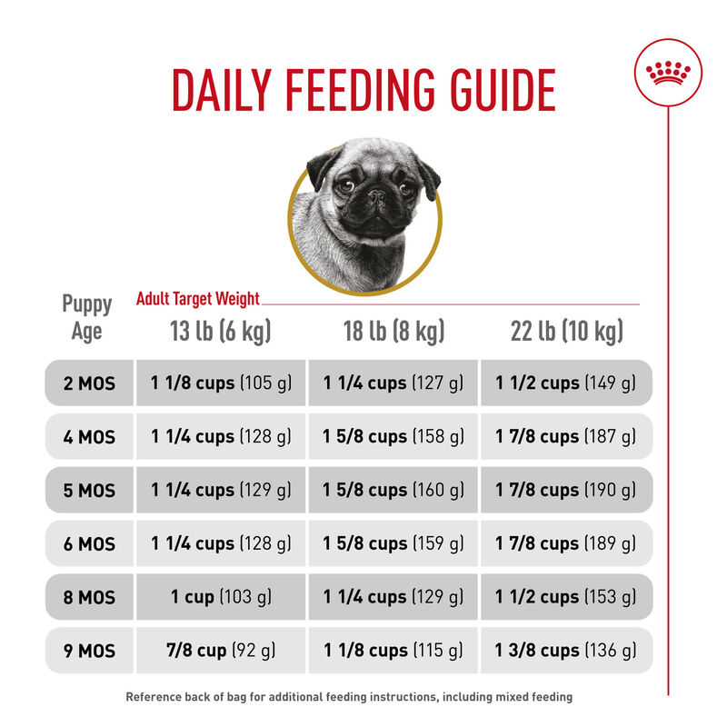 Royal Canin, Breed Health Nutrition Pug Puppy 2.5LBS - Dry Dog Food image number null