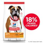 Science Diet, Adult Light with Chicken Meal & Barley Dry Dog Food for healthy weight management - Dr image number null