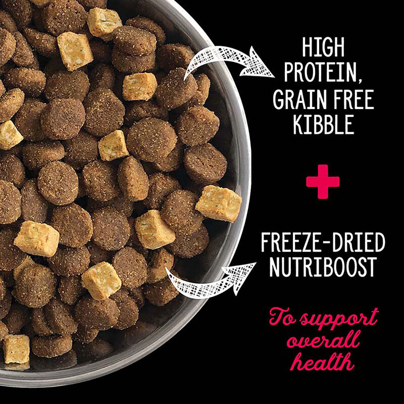 Nutrience, Adult - SubZero Grain Free - Prairie Red - Dry Dog Food image number null