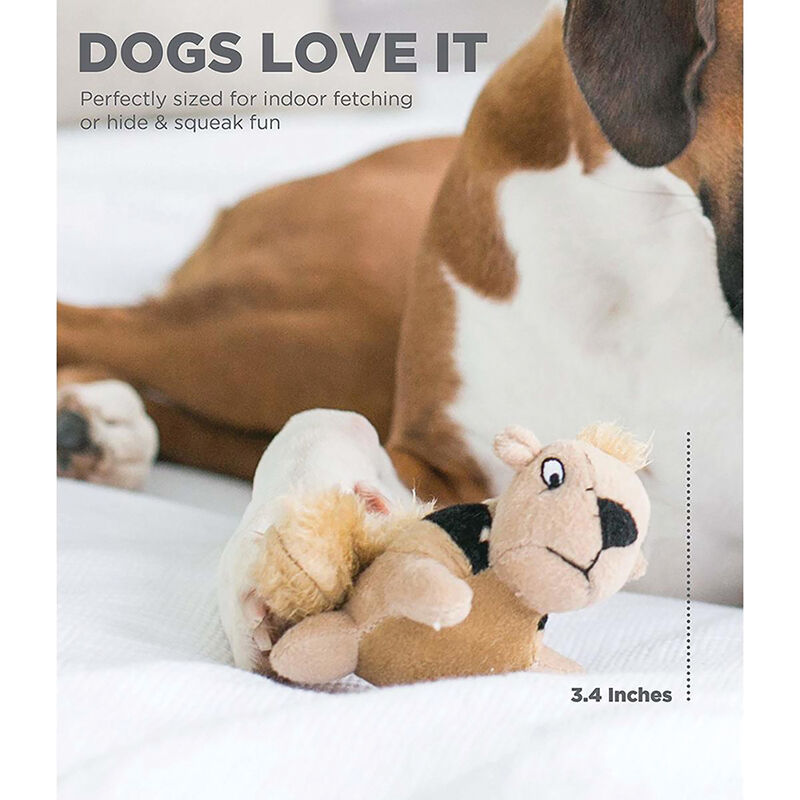 Squeakin' Animals Squirrel - Brown - 3 Pk image number null