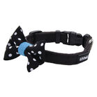 Microfiber Collar, Black with Dots, Petite Small - 3/8" x 8"-12" image number null