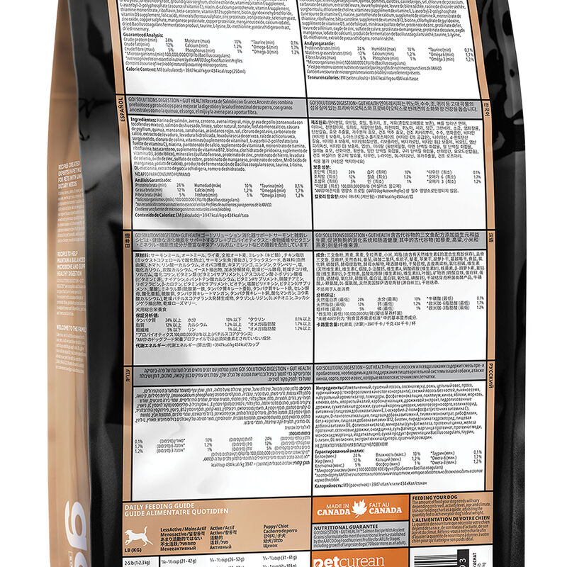 GO! SOLUTIONS, Adult - Digestion & Gut Health - Salmon w/ Ancient Grains - Dry Dog Food image number null