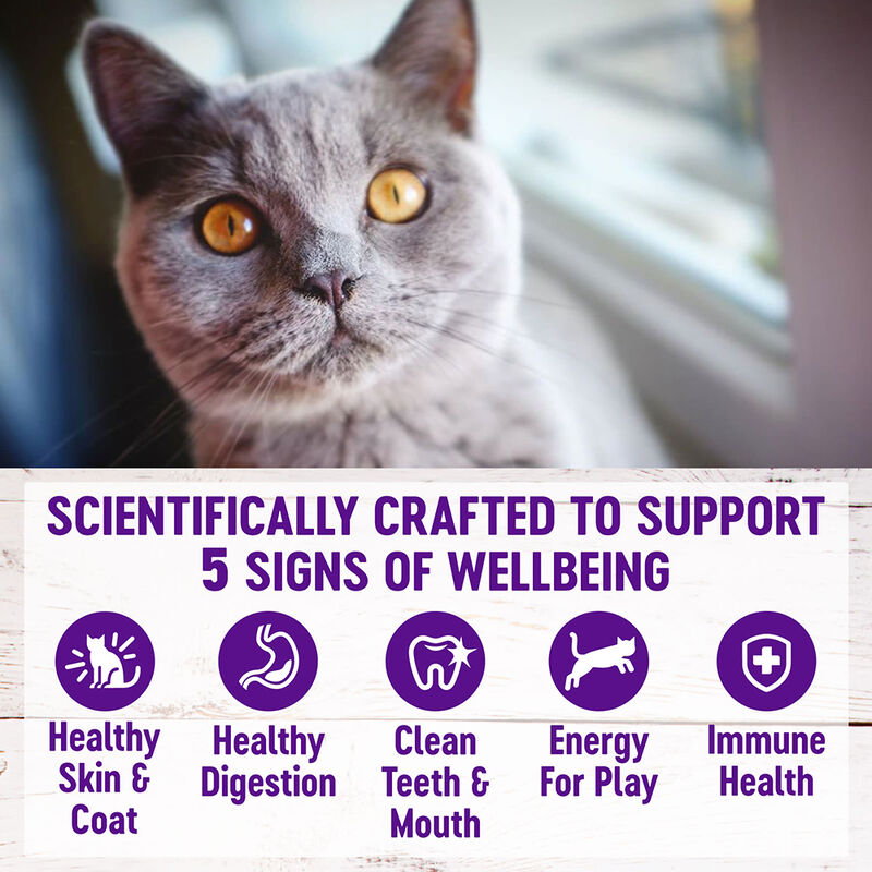 Wellness, Feline Adult - Complete Health - Salmon - 2.72 kg - Dry Cat Food image number null