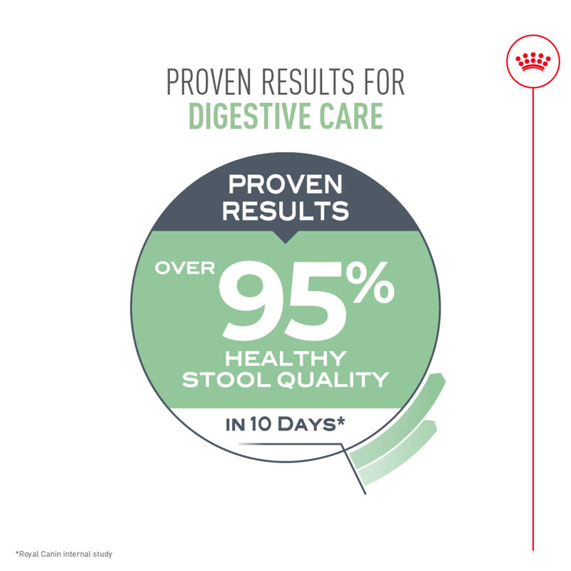 Royal Canin, Feline Care Nutrition Digestive Care Adult - Dry Cat Food image number null