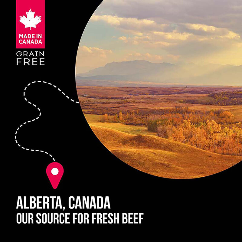 Nutrience, Adult Large Breed - SubZero Grain Free - Prairie Red - Dry Dog Food image number null