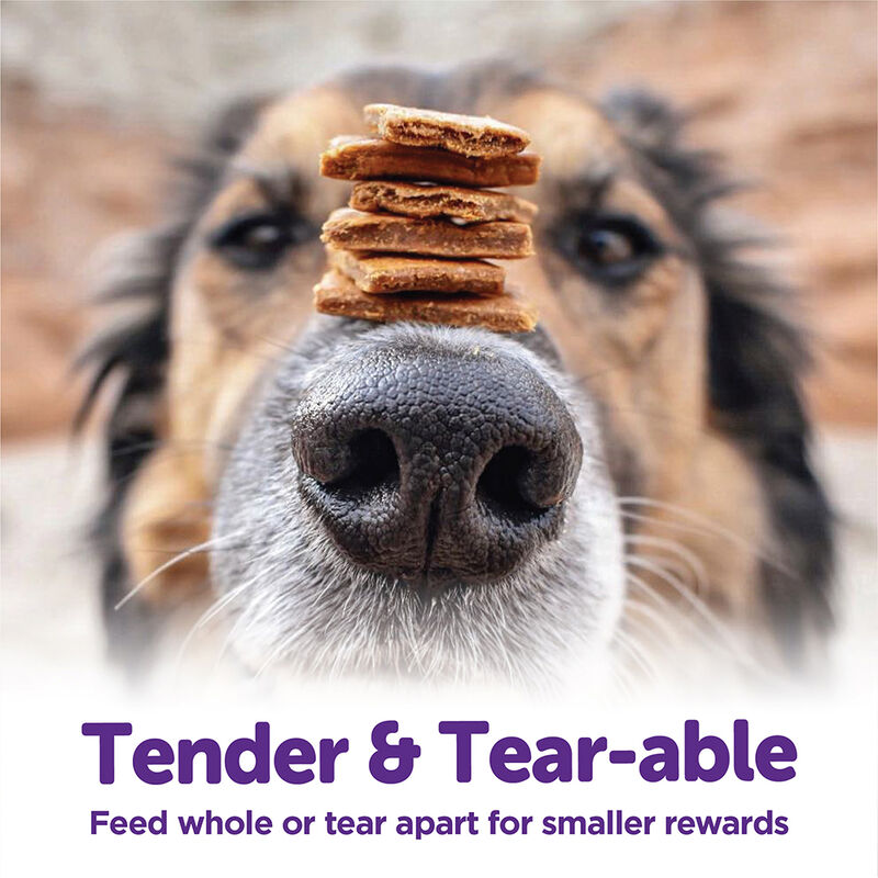 Wellness, Wellbites, Chkn & Venison Soft Dog Treats - 6 oz - Dog Treat image number null