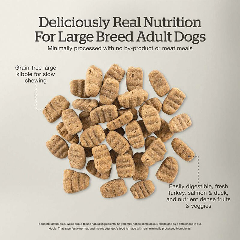 NOW FRESH, Adult GF Large Breed - 5.44 kg - Dry Dog Food image number null