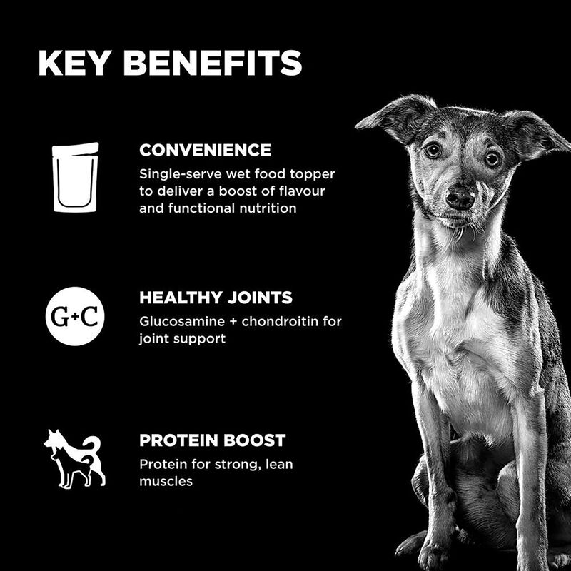 GO! SOLUTIONS,  BOOSTER Joint Care Chicken, Salmon+ Duck Pate - 78 g - Wet Dog Food image number null