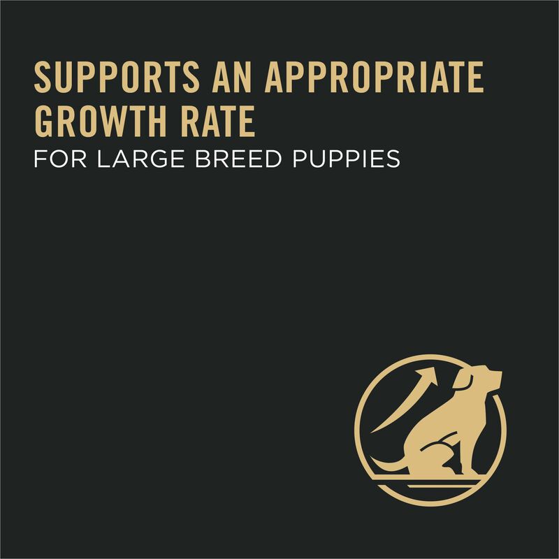 Purina Pro Plan Development Under Two Years Puppy, Large Breed Dry Dog Food Formula 8.16kg image number null