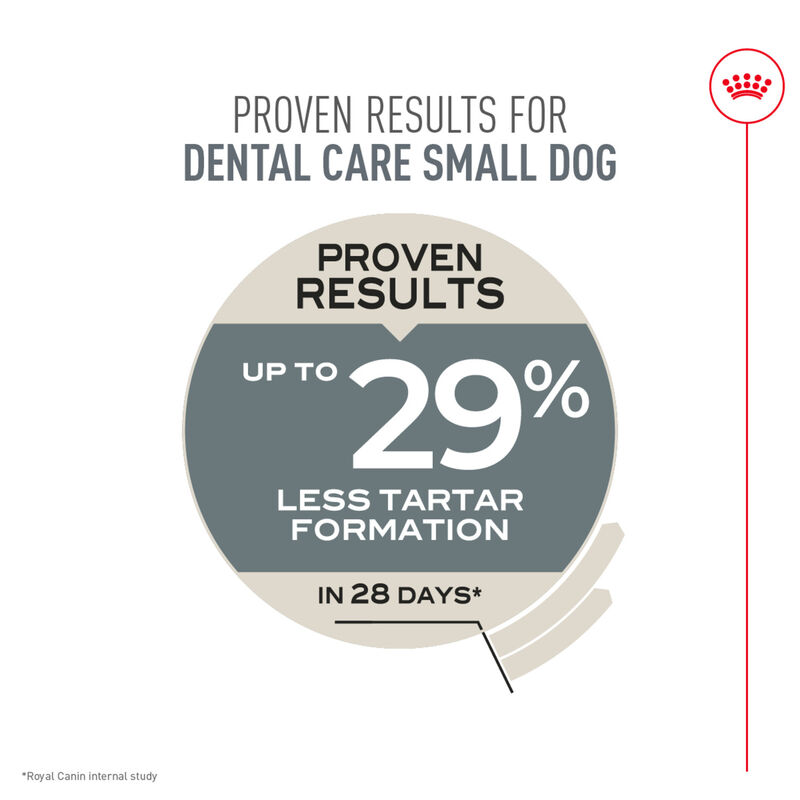 Royal Canin, Adult - Dental Care - Small - Dry Dog Food image number null