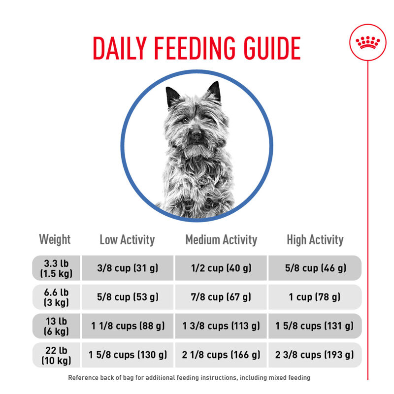 Royal Canin, Size Health Nutrition Small Weight Care - Dry Dog Food image number null