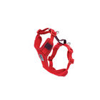 RC Pets, Harness - Moto Control -  Goji Berry/Burgundy - Dog Harness image number null