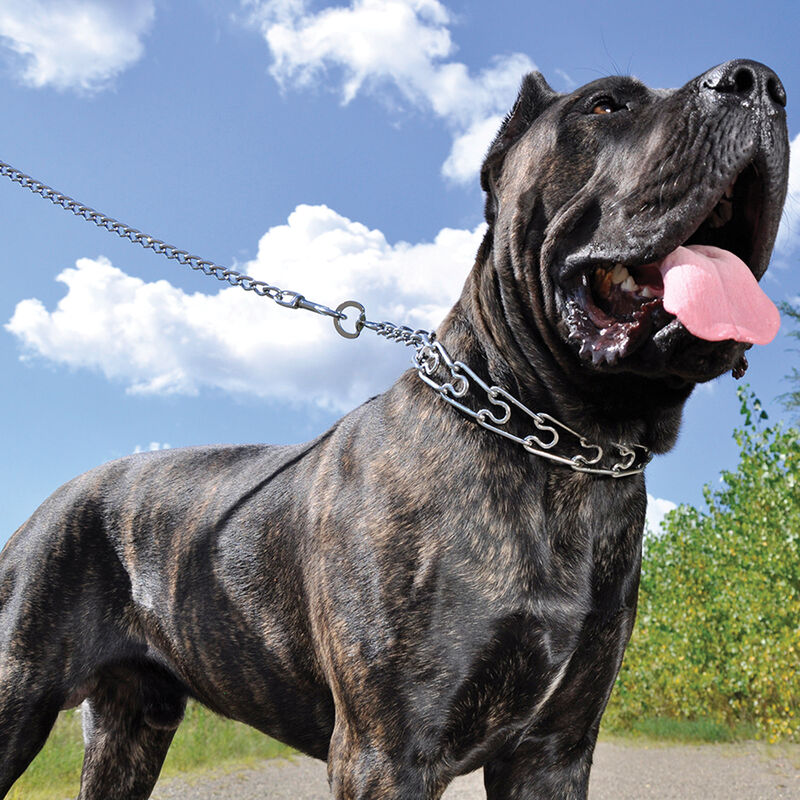 Chain Training Dog Collar, Chrome, 4.0 mm x 28" image number null