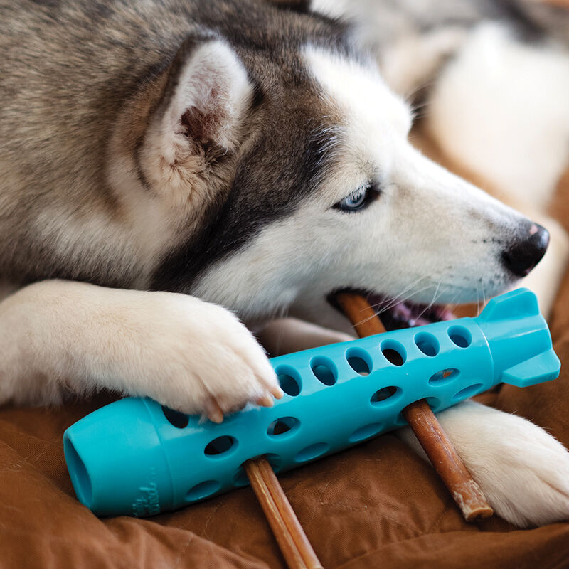 Messy Mutts, Totally Pooched Stuff'n Chew Rocket Stick - Teal - 10" image number null