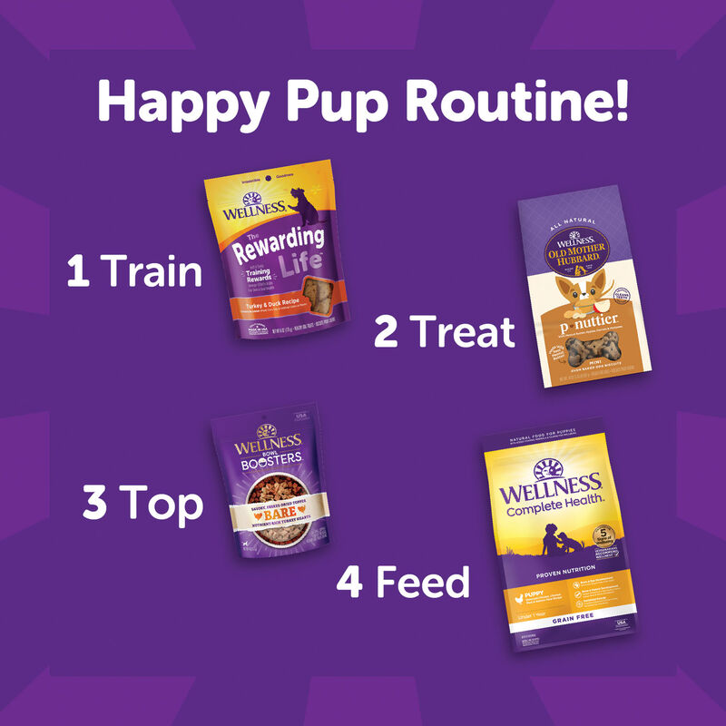 Wellness, Wellbites, Turkey & Duck Soft Dog Treats - 6 oz - Dog Treat image number null