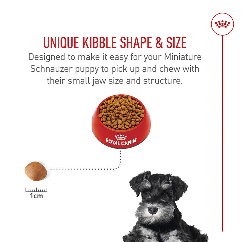 Royal Canin, Breed Health Nutrition Miniature Schnauzer Puppy 2.5LBS - Dry Dog Food image number null