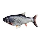 Zoom Pets Electronic Dancing Fish Cat Toy image number null