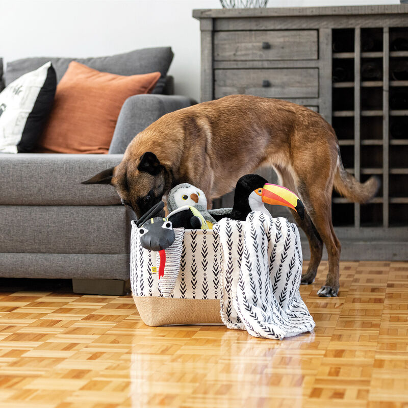 BeOneBreed, Goodie Box Lakewood - Cream image number null