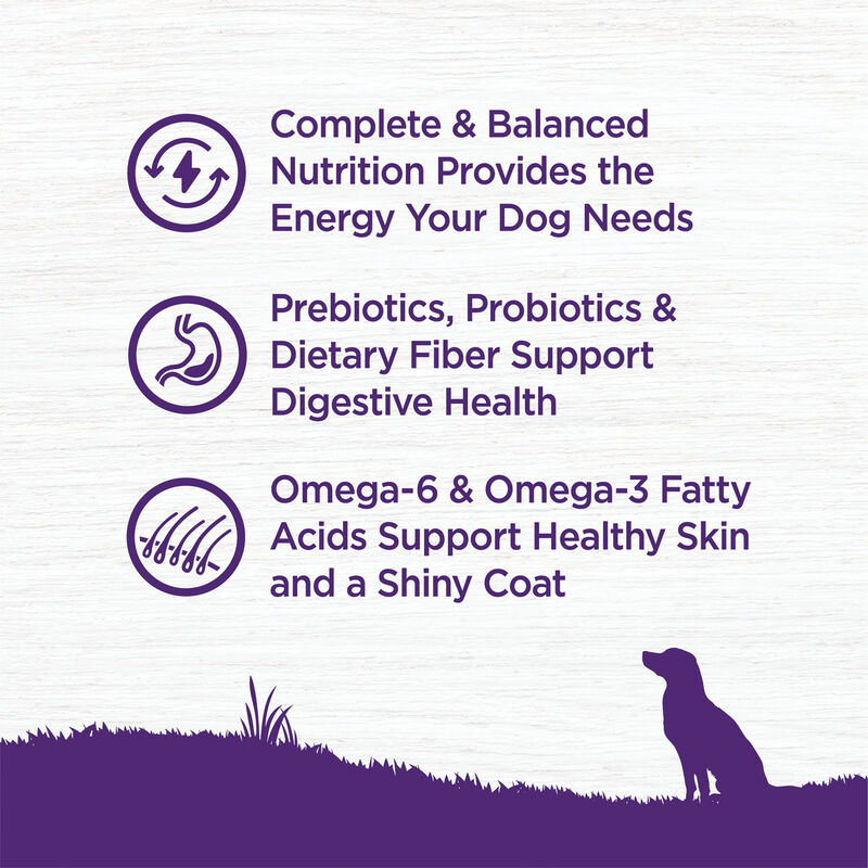 Wellness, Complete Health, Chicken - Dry Dog Food image number null