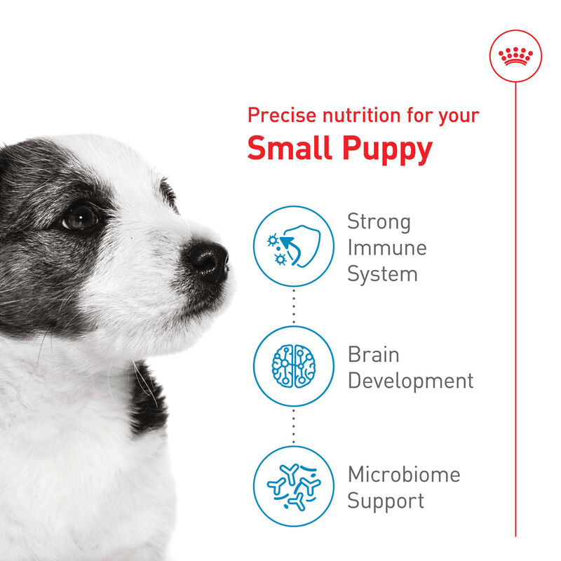 Royal Canin, Size Health Nutrition - Small Puppy - Dry Dog Food image number null
