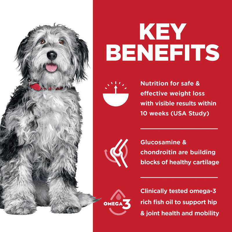 Science Diet, Adult - Perfect Weight+Joint - Dry Dog Food image number null