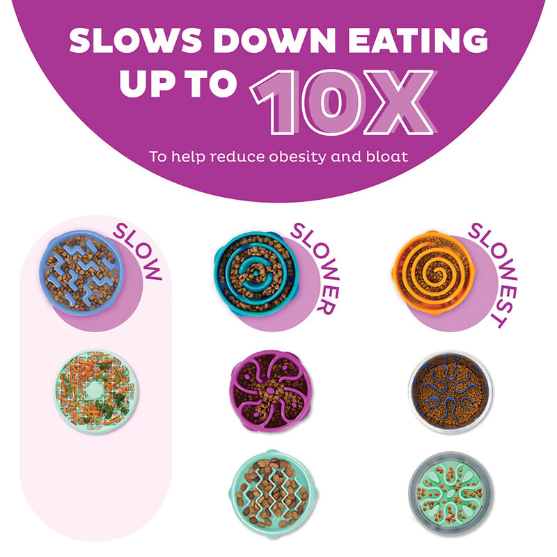 Outward Hound, Fun Feeder Flower - Purple image number null