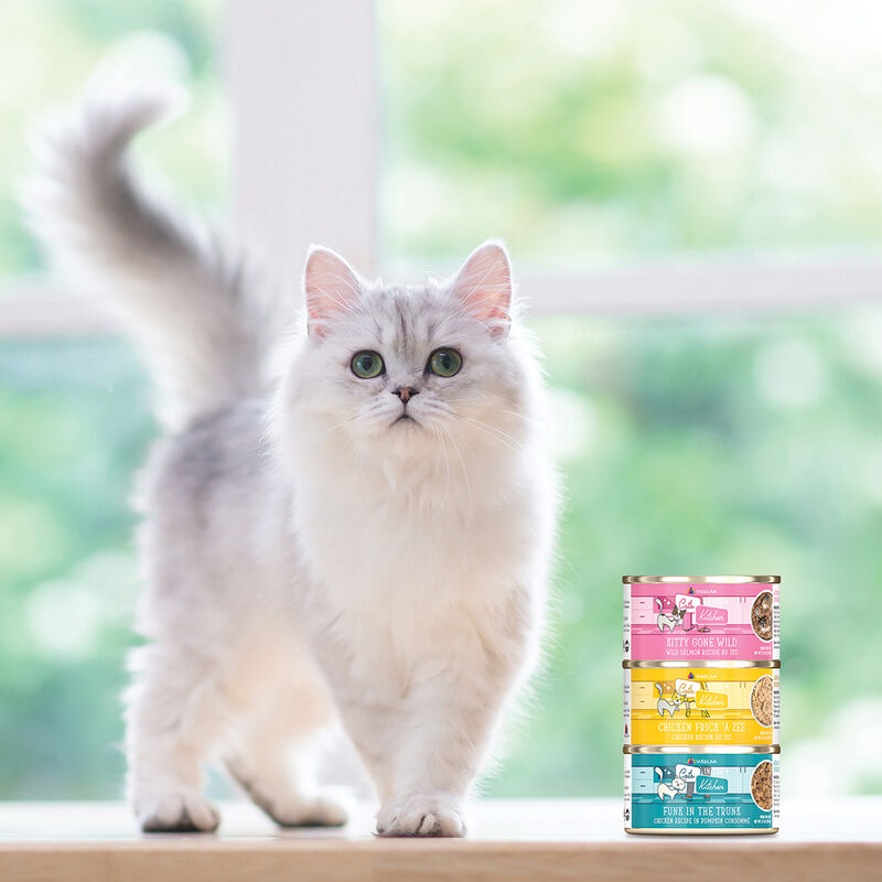 Weruva, Can Feline  - La Isla Bonita-Mack&Shrimp-170g - Minced - Wet Cat Food image number null