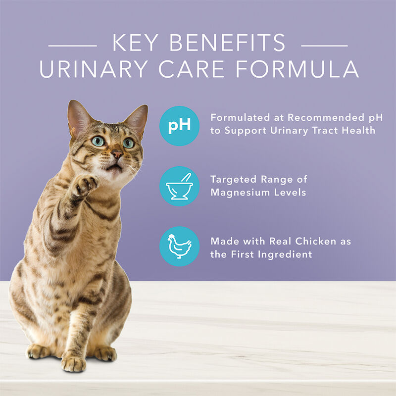 Blue Buffalo, Feline Adult - True Solutions - Urinary Care - Chicken - Dry Cat Food image number null