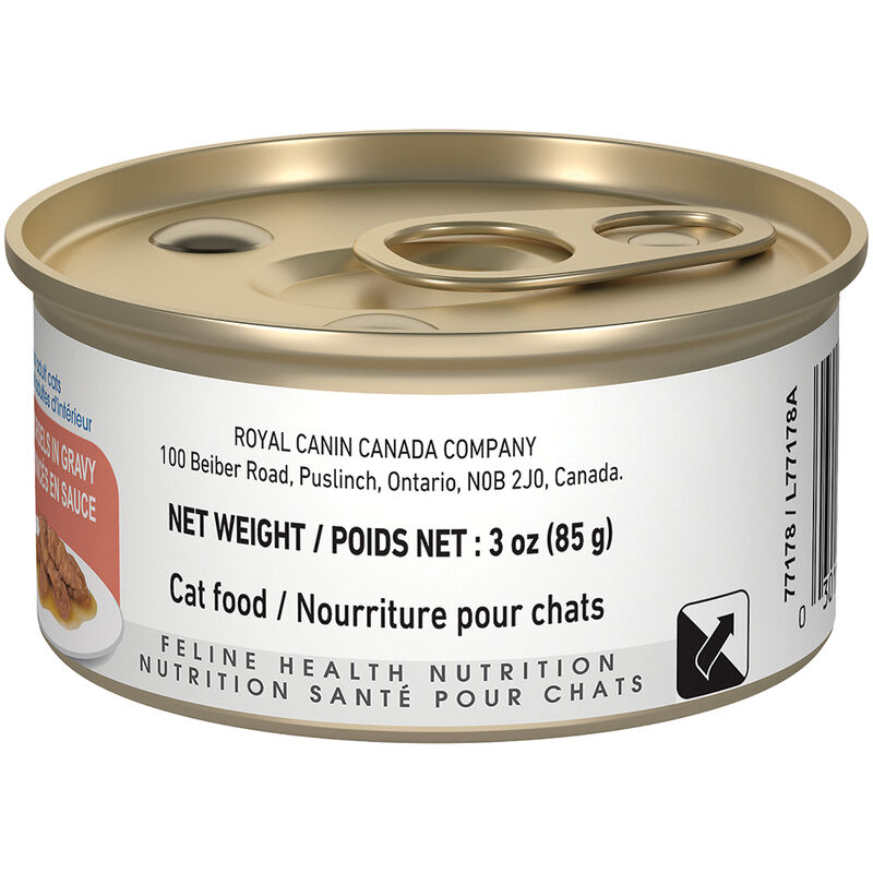 Royal Canin, Feline Health Nutrition Indoor Adult Morsels in Gravy - 85 g - Wet Cat Food image number null