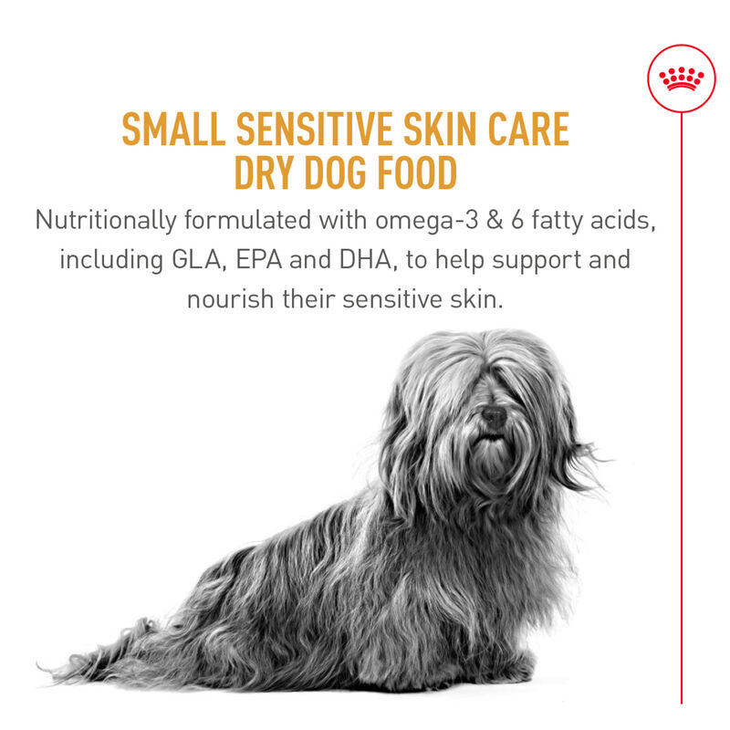 Royal Canin, Size Health Nutrition Small Sensitive Skin Care - 5.9 kg - Dry Dog Food image number null