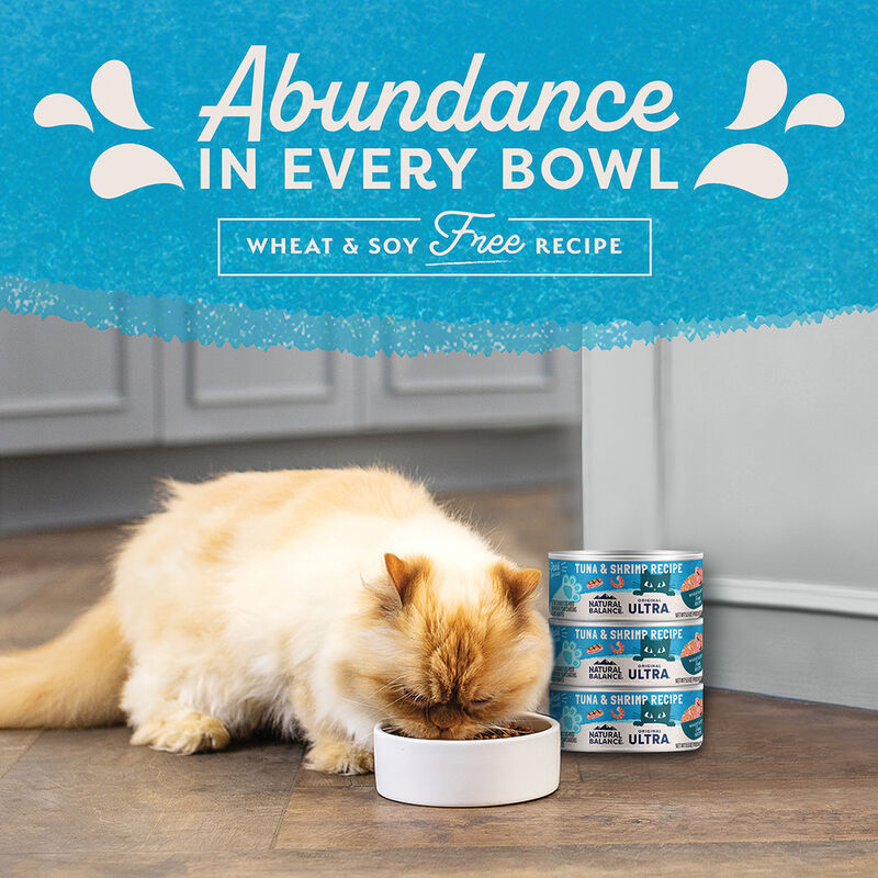 Can, Feline Adult - Ultra - Salmon - 156 g - Wet Cat Food image number null