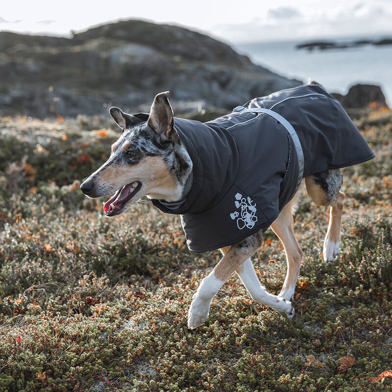 Hurtta, Extreme Warmer 2 - Blackberry image number null