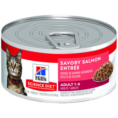 Science Diet, Adult Savory Salmon Canned Cat Food, 156g - Wet Cat Food