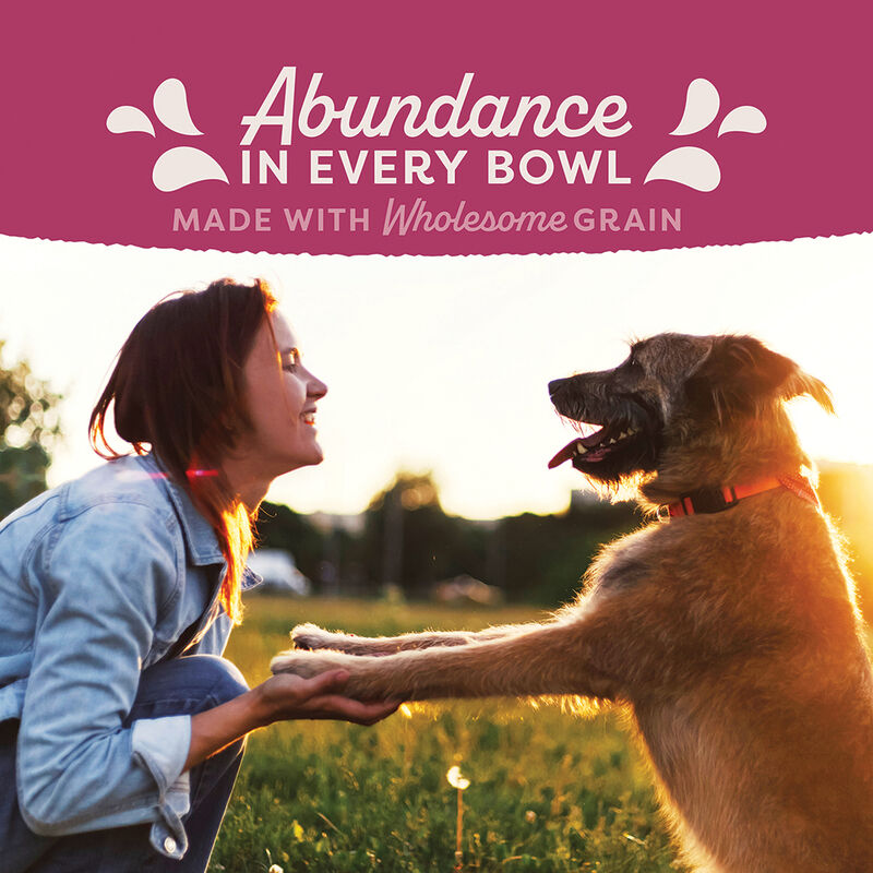 Natural Balance, Adult - Ultra Fat Dogs - Dry Dog Food image number null