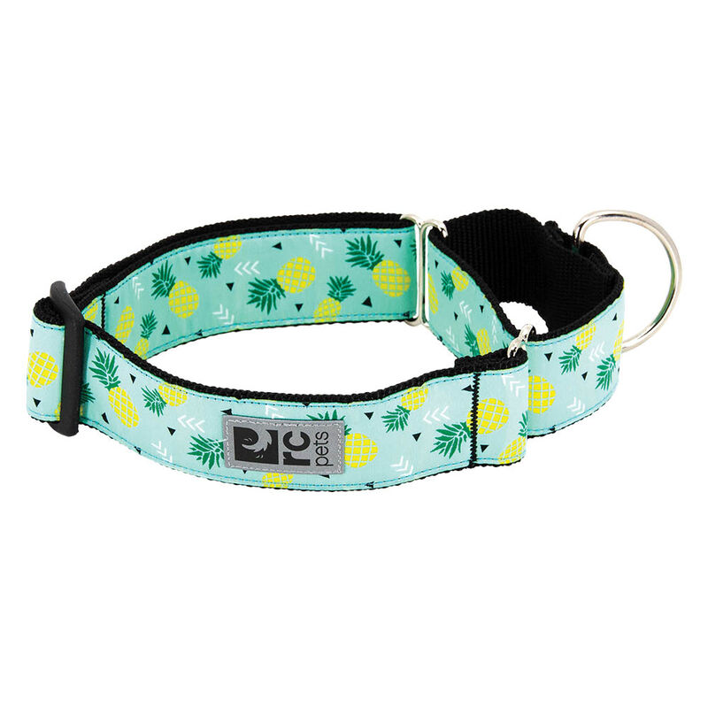 RC Pets, Training Web Collar - Pineapple Parade - Dog Collar image number null