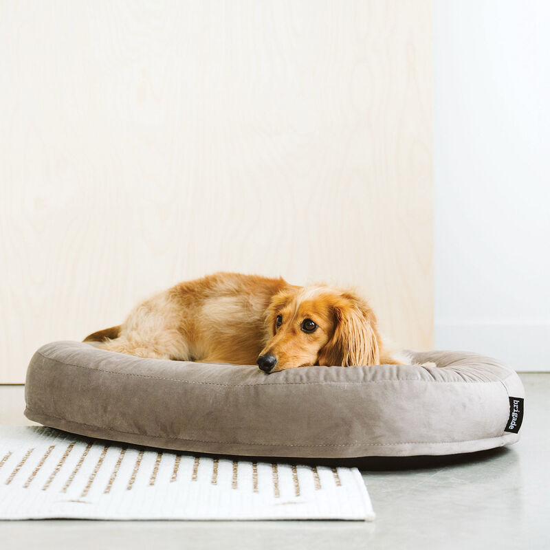 Brigade, Puffy Bed - Grey Velvet image number null