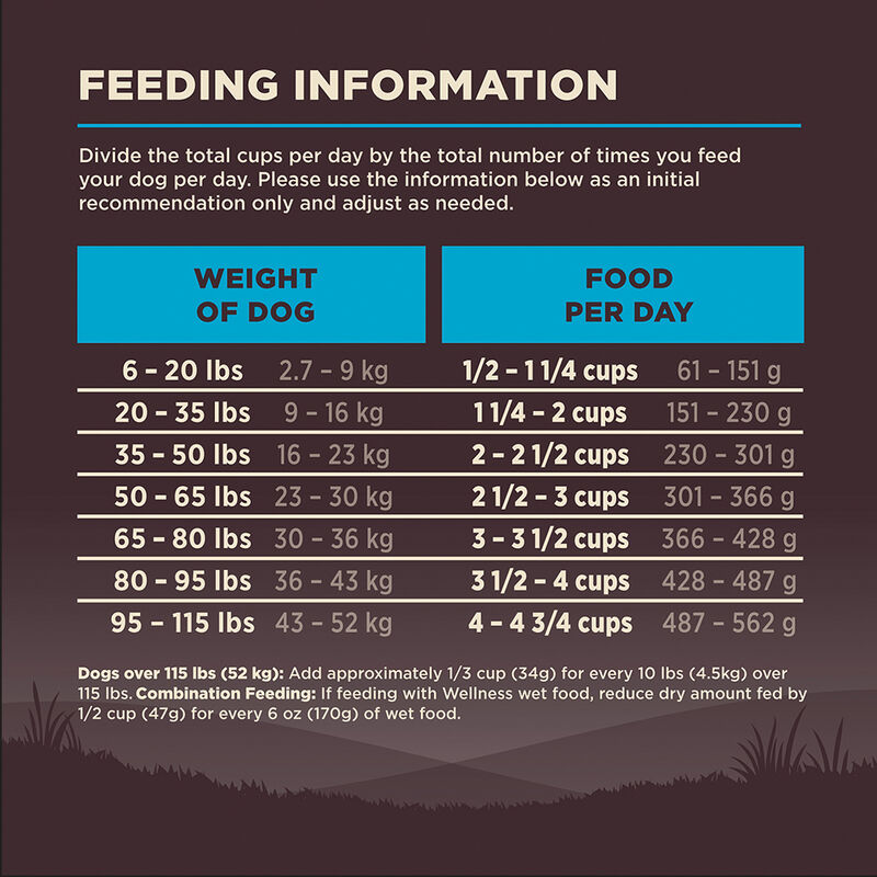Wellness, Core, Grain Free Ocean - Dry Dog Food image number null