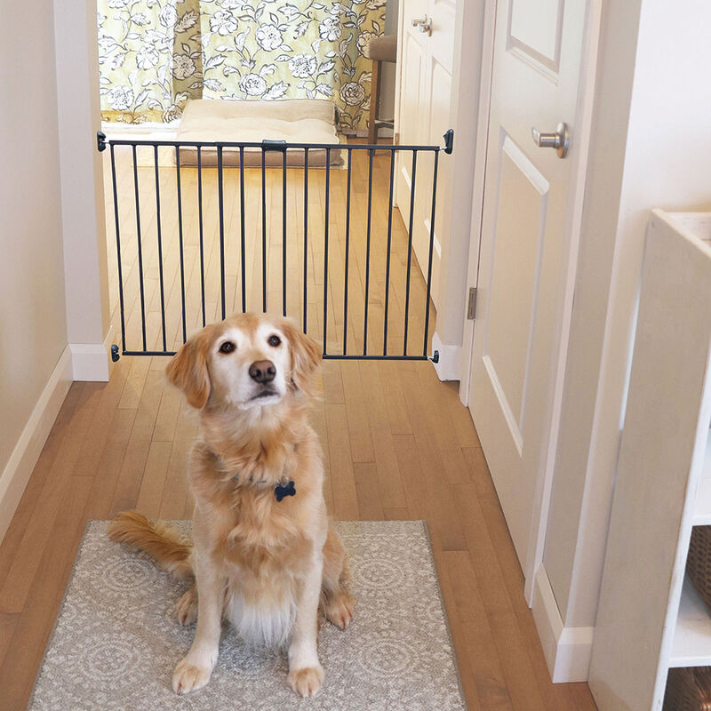 Finn & Winston, Expandable Metal Gate - Bronze image number null