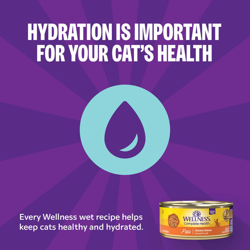 Wellness, Canned Cat Food, Complete Health, Chicken - Wet Cat Food image number null